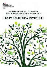 image Plaidoiries.jpg (14.4kB)
Lien vers: https://chlorofil.fr/agenda/plaidoiries